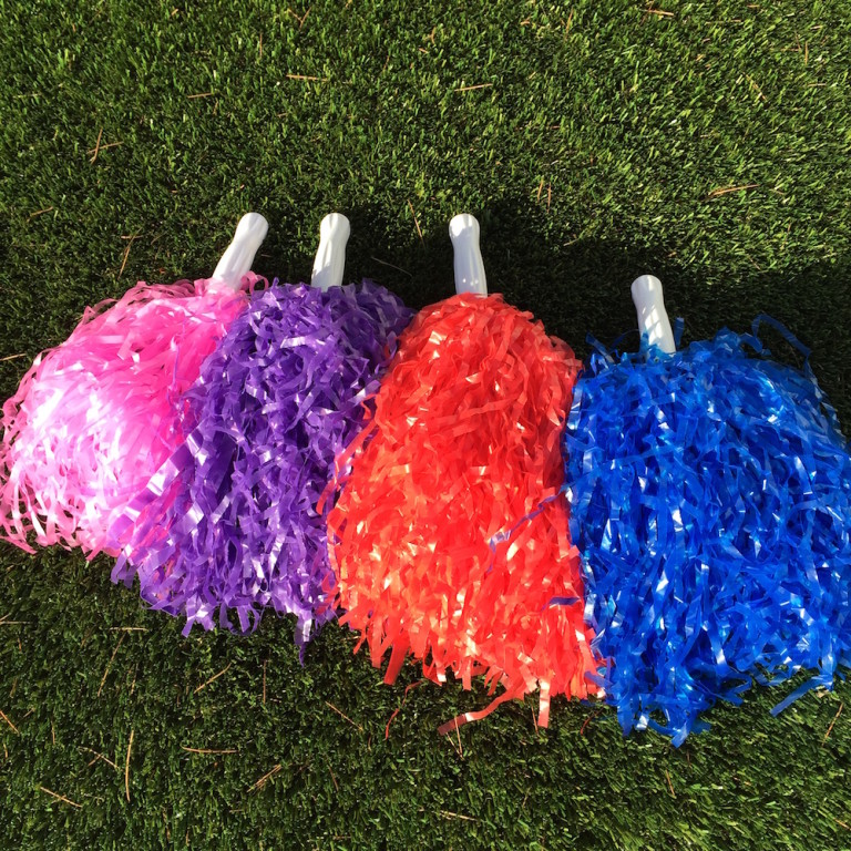 Cheer Mania Pom Poms Cheer Mania Party