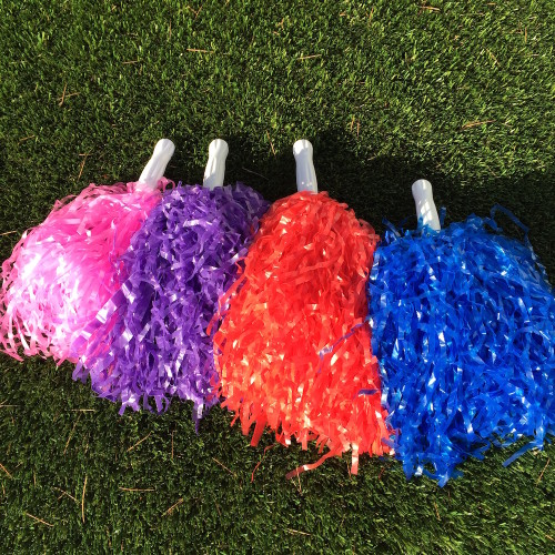 Cheer Mania Pom Poms Cheer Mania Party